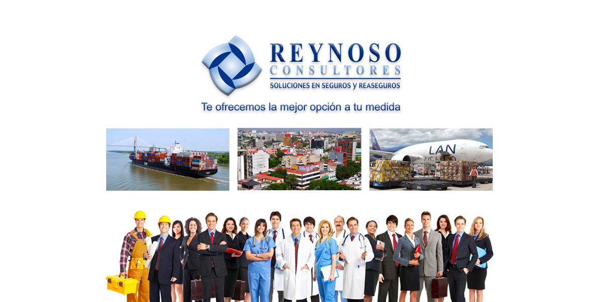 Reynoso Consultores